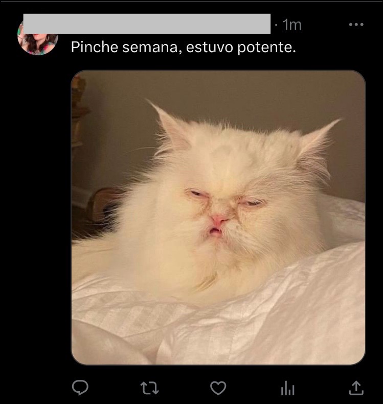 _desarroller's tweet image. ¿A cuántos habrán corrido de la maquiladora de bideojuegos más #OSOM como para que la senior recruiter ponga esto?