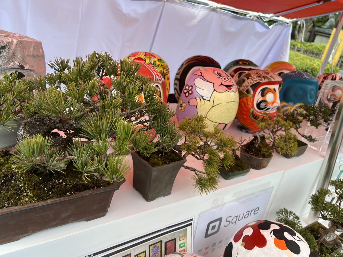 Z李 🇺🇦 NO WAR 🕊 tweet media