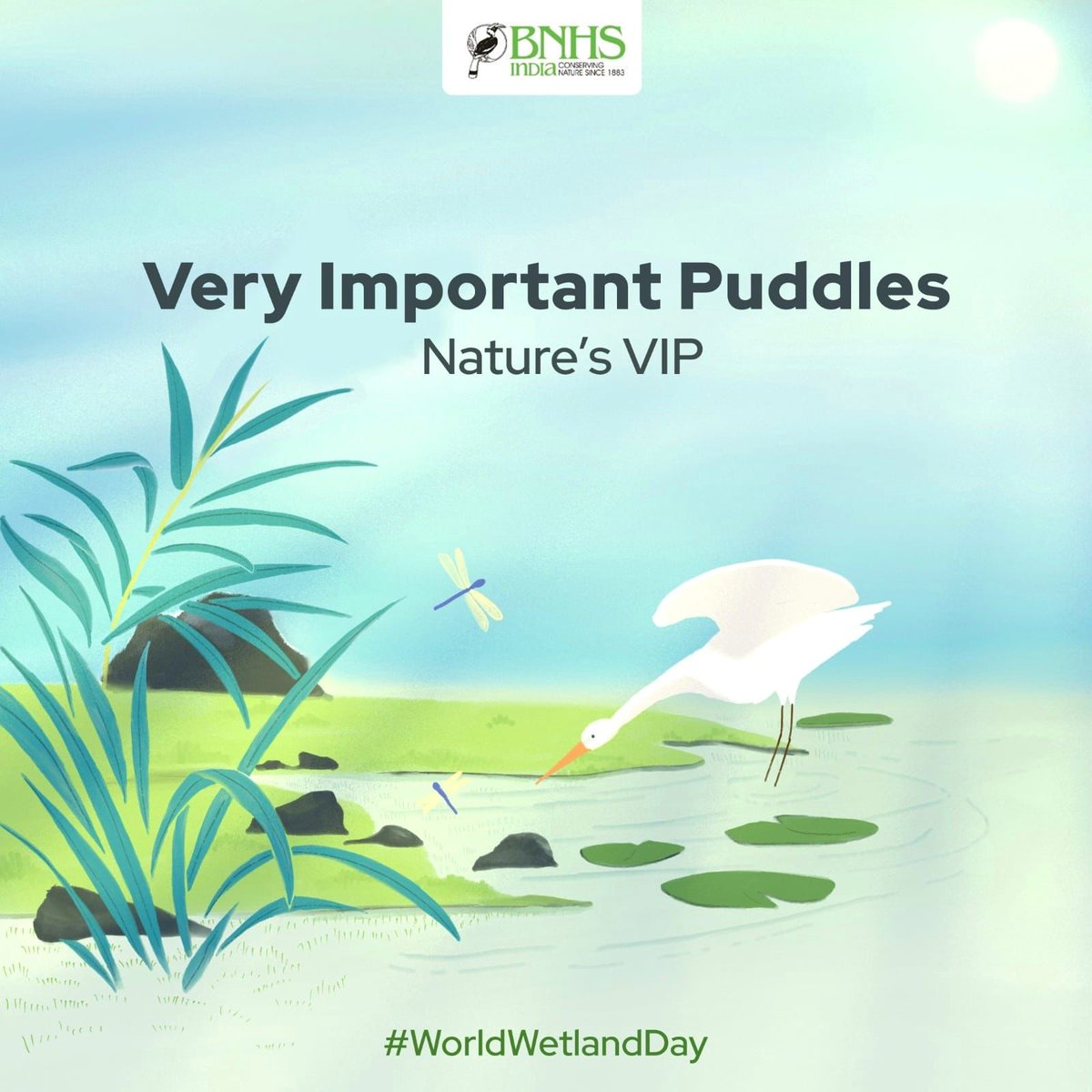 BNHSIndia's tweet photo. Dive into Conservation: Celebrating #WorldWetlandDay!
From marine life to flora, wetlands play a crucial role in biodiversity, flood control, and water purification. Let's cherish & protect these vital ecosystems! 🌊🍃
#WetlandWisdom #NatureNurtures #LearnWithBNHS #BNHS https://t.co/Md7hLssgnW