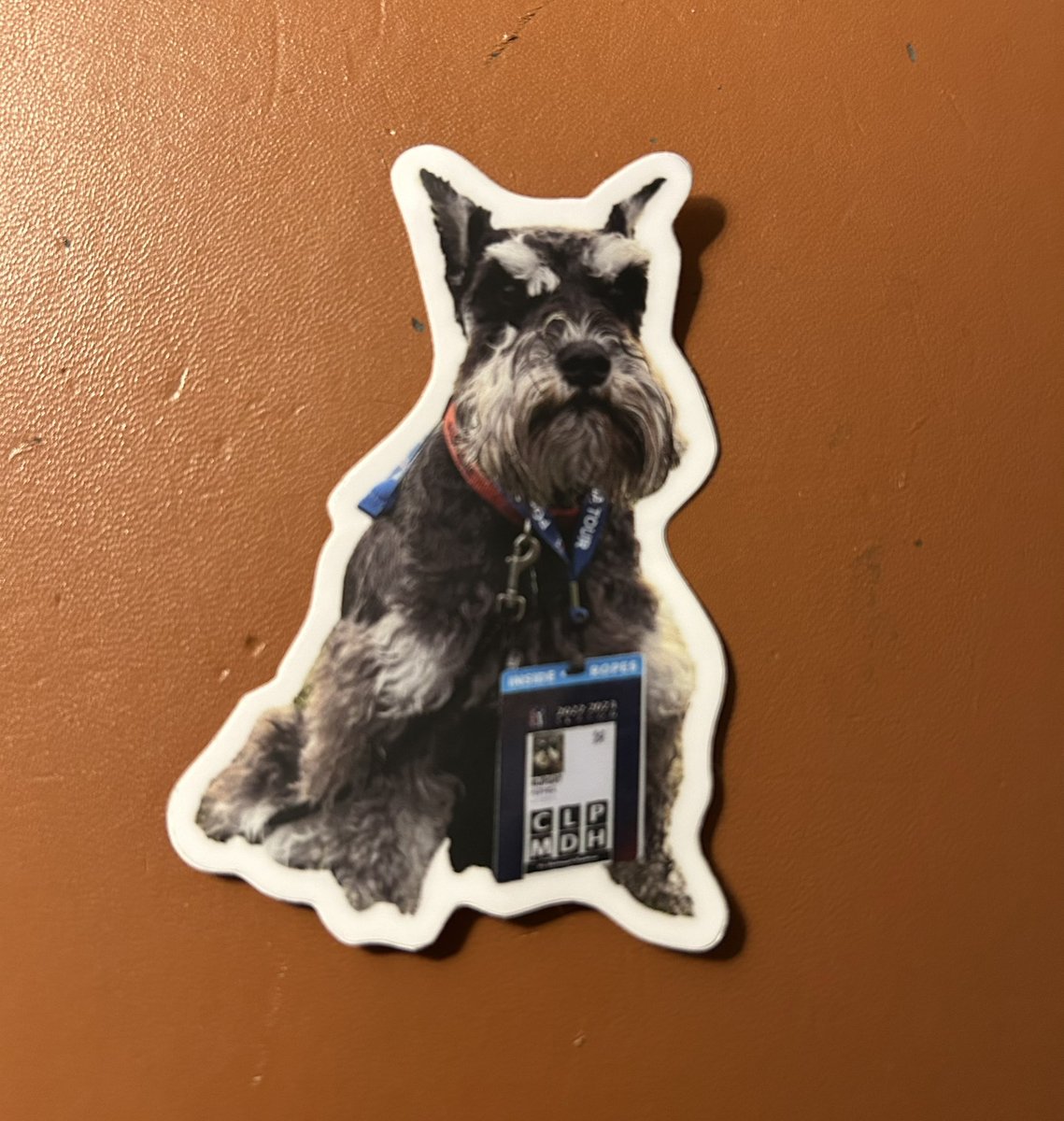 Dottie Pepper tweet media