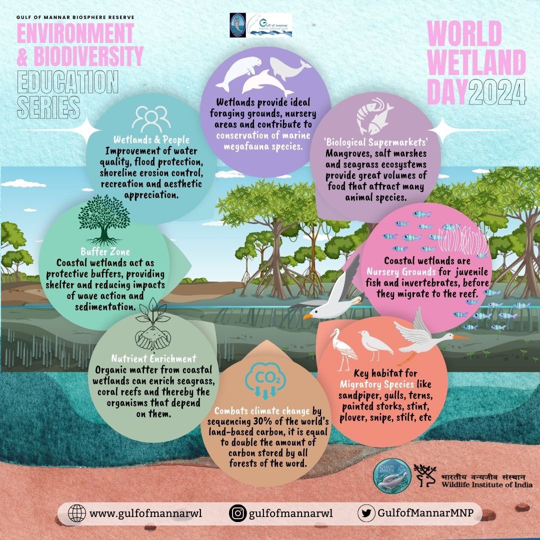 On #WorldWetlandsDay, let’s celebrate the vital role #wetlands play in the  wellbeing of our planet and people. 

#WWD2024 #ForNature #TNForest #ecoeducation #SDGs