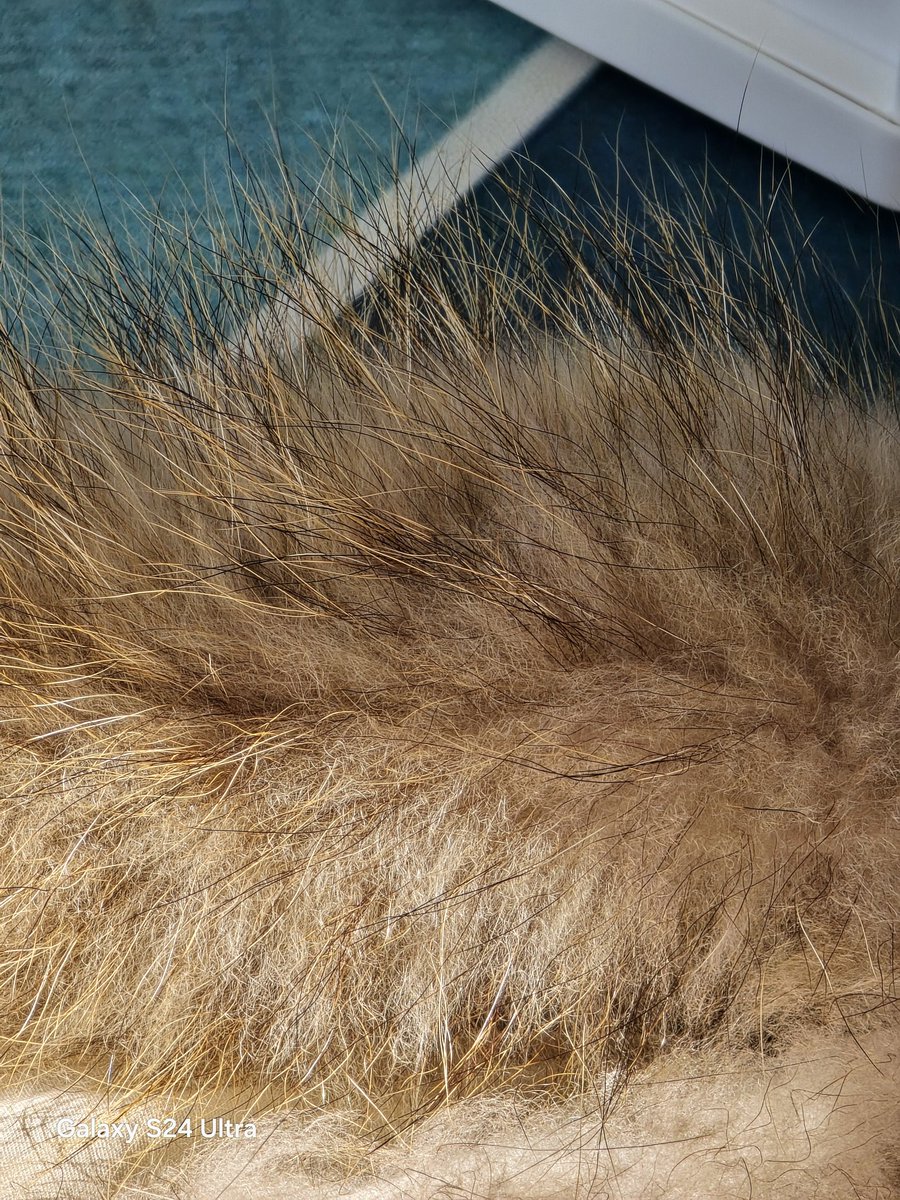 Ice Universe tweet media