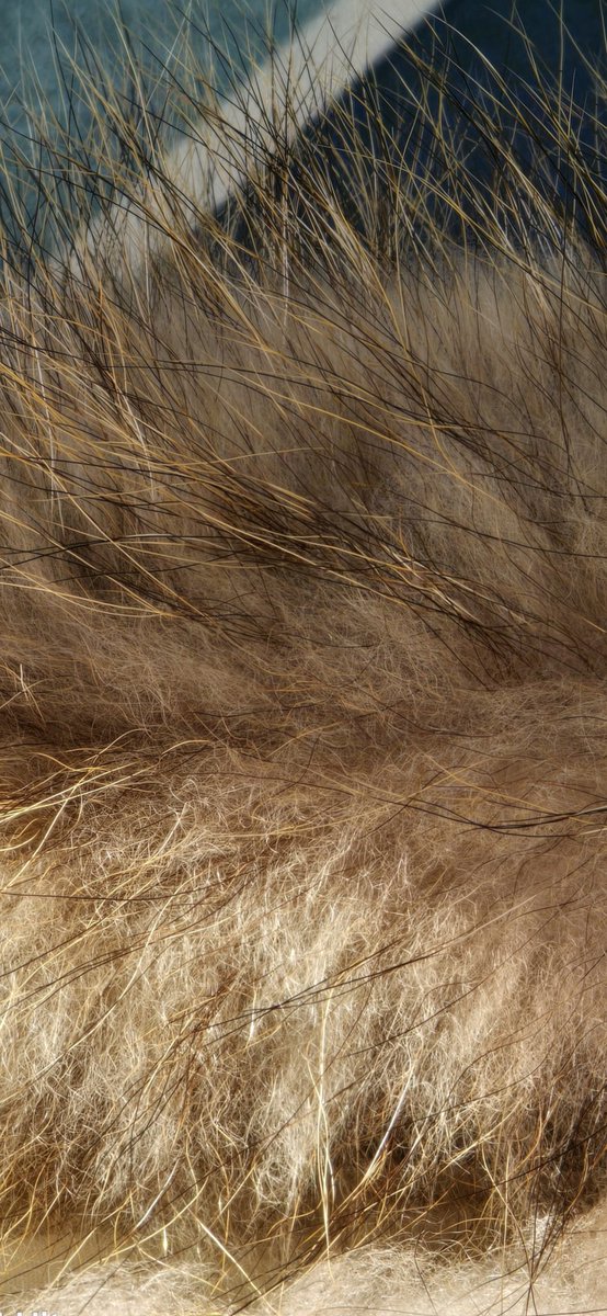 Ice Universe tweet media