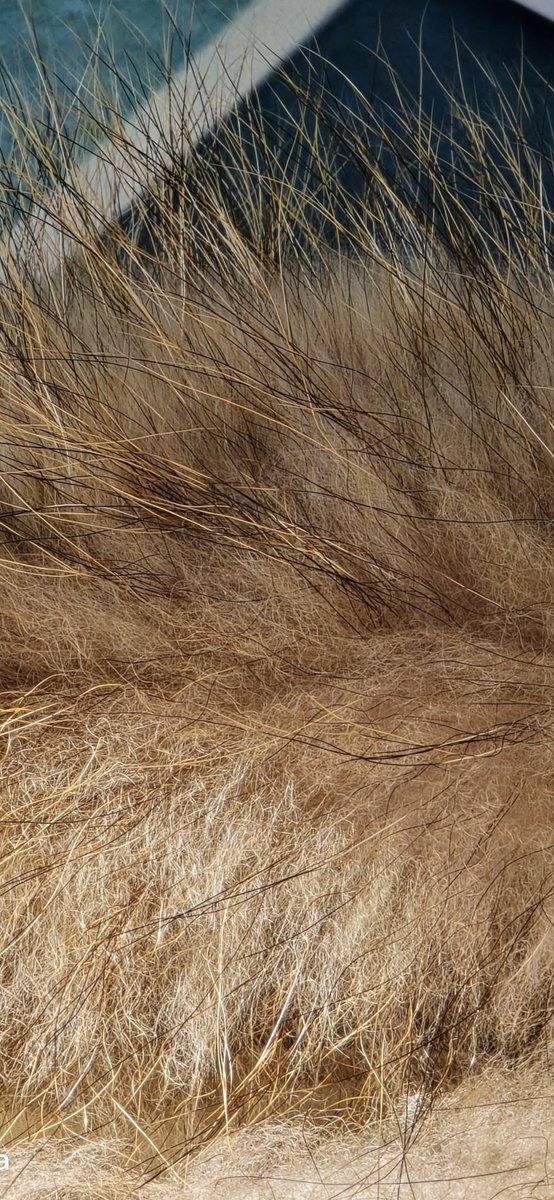 Ice Universe tweet media