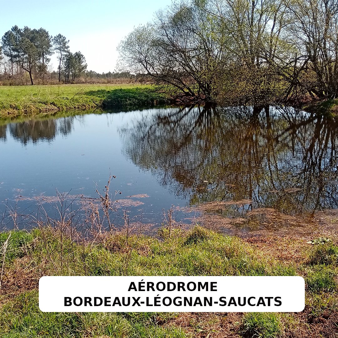 Aujourd’hui, c’est la Journée mondiale des zones humides💧🌱
Chaque année, nous célébrons cette journée pour commémorer la signature de la Convention de Ramsar.
À savoir que plusieurs aérodromes et aéroports partenaires de l'association abritent ces milieux d'exception !