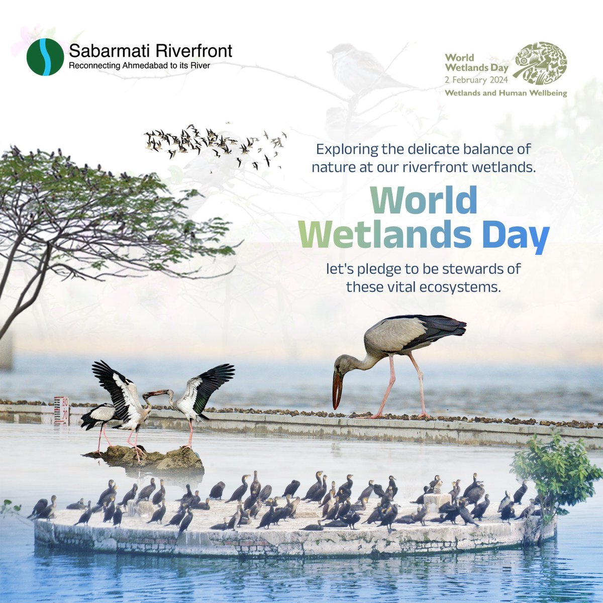 Dive deep into the heart of nature on Wetlands Day at Sabarmati Riverfront. Let's celebrate and preserve these vital ecosystems!
 #wetlandsday #Sabarmatiriverfront #riverfront #ahmedabad #rivers