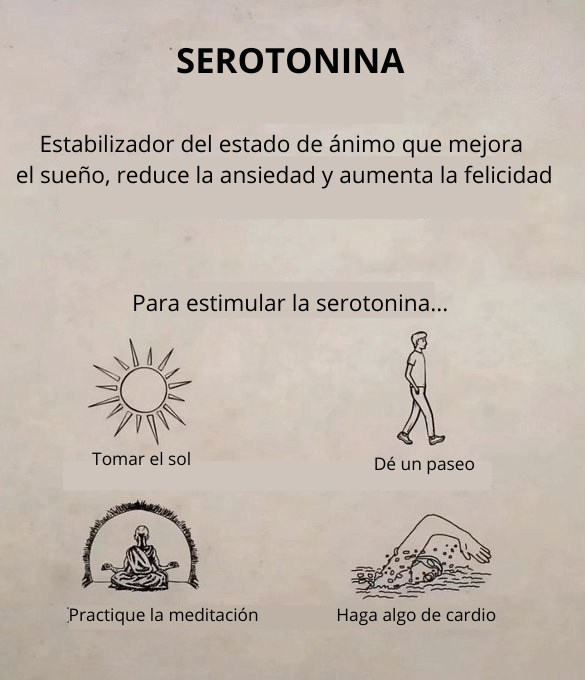 CÓMO HACKEAR TUS 4 HORMONAS DE LA FELICIDAD
 (🔁Repost para ayudar a los demás)

1.