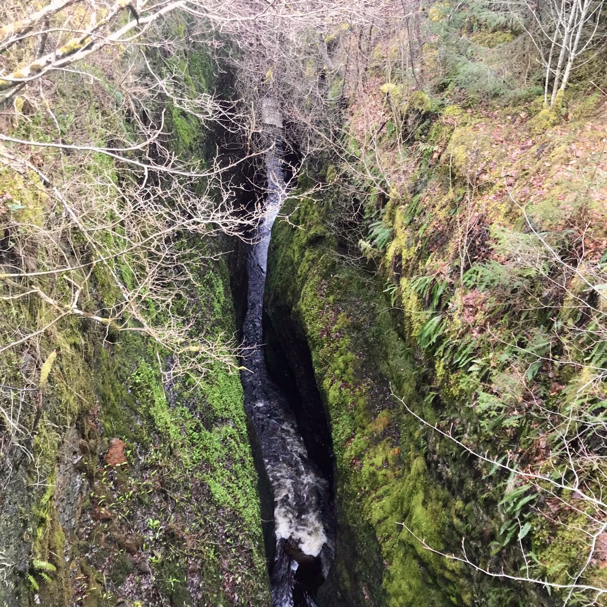 Ramblers Scotland tweet media