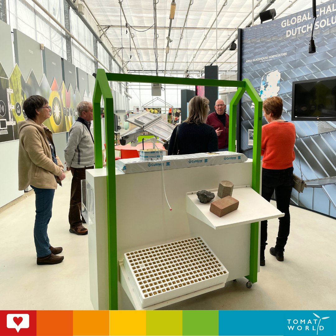 TomatoworldNL's tweet photo. 𝗙𝗶𝗿𝘀𝘁 𝗽𝗿𝗶𝘃𝗮𝘁𝗲 𝘁𝗼𝘂𝗿 𝗼𝗳 𝟮����𝟮𝟰 𝗮𝘁 𝗧𝗼𝗺𝗮𝘁𝗼𝘄𝗼𝗿𝗹𝗱! 🍅Our guide, Harrie, provided a 1.5-hour deep dive into the world of tomatoes. Missed it? Join us next time! Send us an email at reservering@tomatoworld.nl to book your tour! 📷 https://t.co/6ShfX6oWYA