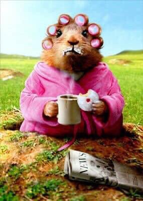 gnmscrossguard's tweet photo. @JeanneCBC Happy Groundhog Day! https://t.co/mrYH8CuwBC