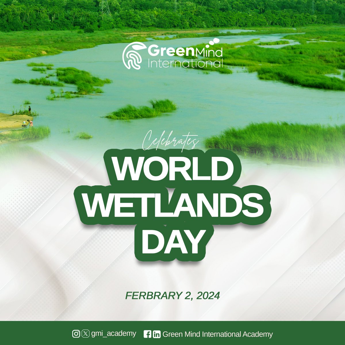 Today, we join the rest of to celebrate the important role wetlands play as the kidney of the earth!

#wetlands #wordwetlandsday #environmentaleducation #environmentalsustainability #gmi