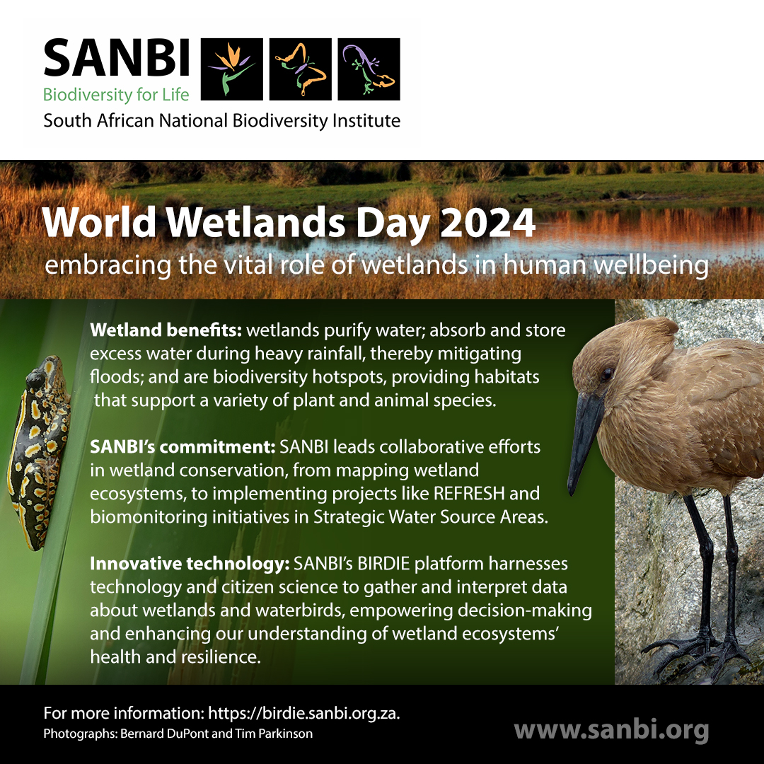 SA Biodiversity (@SANBI_ZA) on Twitter photo 2024-02-02 10:34:09