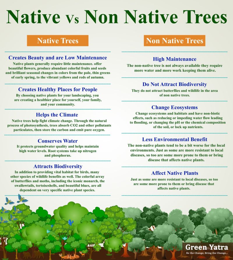 🌳 When reforesting rainforests, prioritizing native trees over non-native species (monocultures) is essential for restoring and preserving these vital ecosystems!