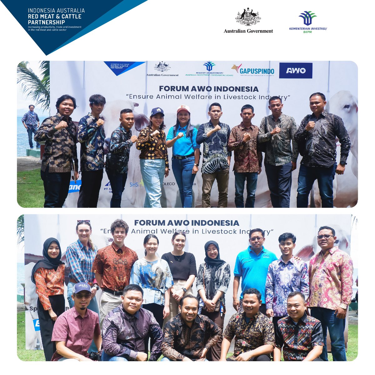 that the program to ensure the implementation of animal welfare standards in the cattle breeding sector in Indonesia to sustain.
#InvestinMeat #RedMeatCattle #iaredmeatcattle #redmeatcattlepartnership #australiaindonesia #foodsecurity #Connectingindonesianfarmers