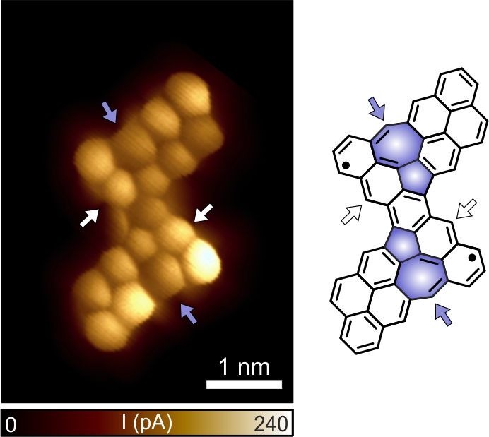 We dig into the role of single gold atoms in the formation of azulene units, affording the synthesis of an antiferromagnetic  NG  with  the highest  magnetic  exchange  coupling  reported  up  to  date  for non-benzenoid containing NGs🏆
