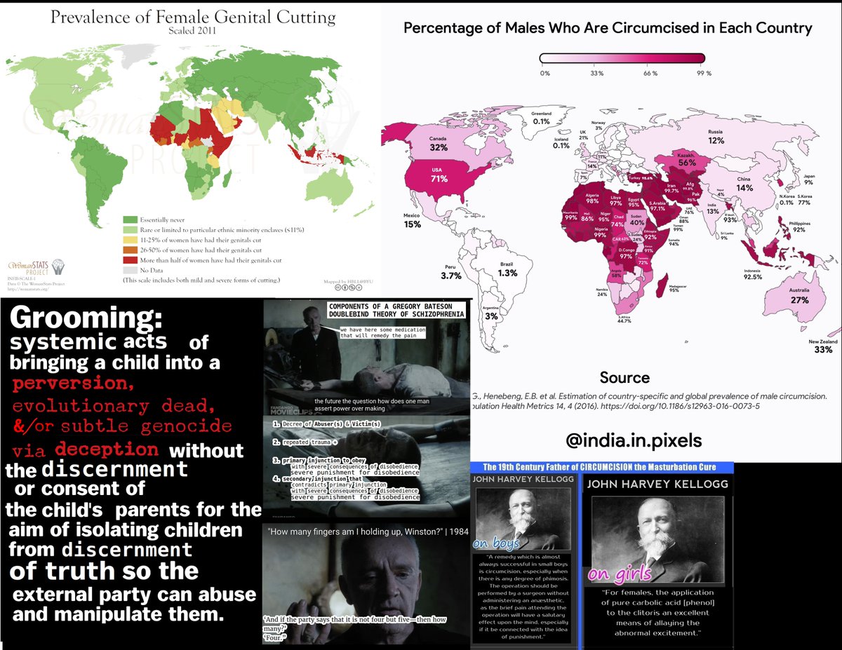 spiralcosmosart's tweet image. Ever wonder WTF the CPTSD trauma programming makes many of EM' subserviant house negroes? #BlackHistoryMonth📷