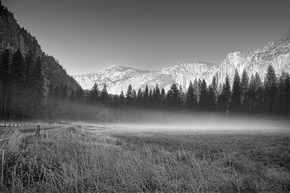 Serenity

7/10 Editions
0.35 sol   

exchange.art/editions/9vN1z…