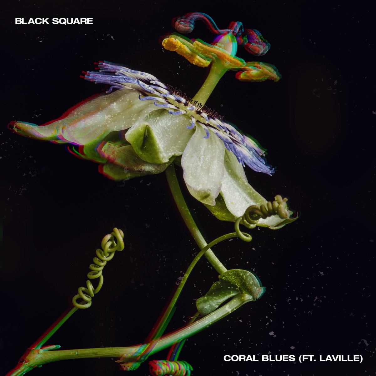 Thanks to @amazingradio /@amazingradiouk for putting Black Square - Coral Blues ft. Laville on the specialist playlist. It’s Friday where Bandcamp waived revenue share to support artists you can buy the single + 2 remixes by @ThrowingSnow @Phaeleh linktr.ee/BlackSquare