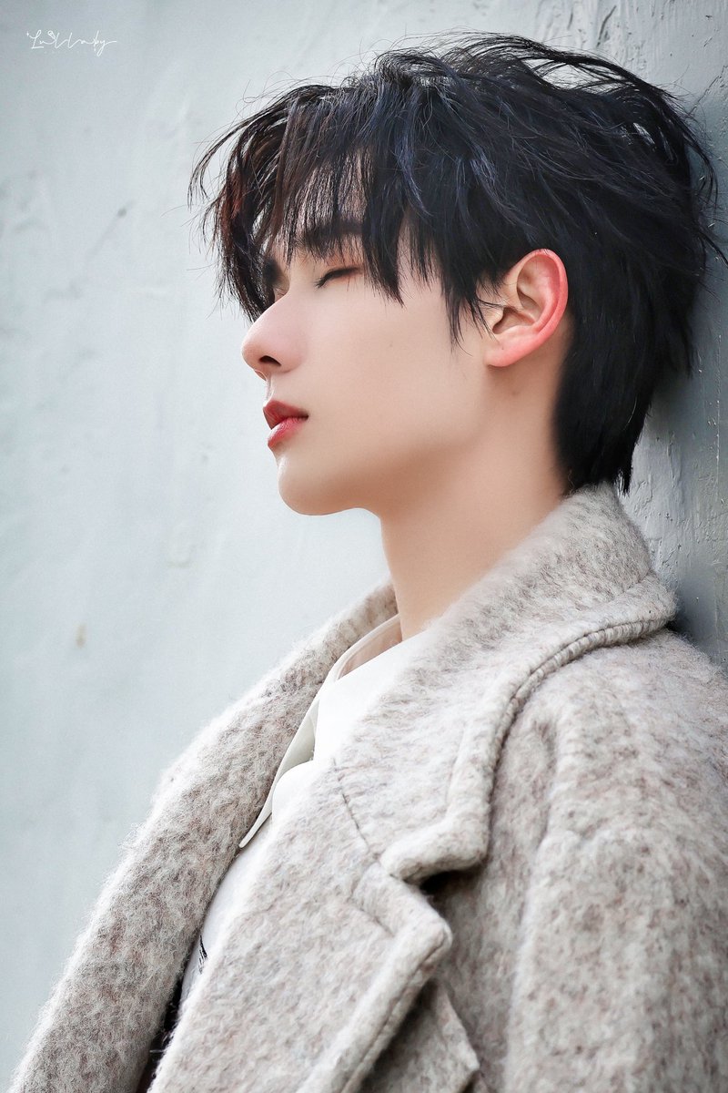 Lullaby_高卿尘 tweet media