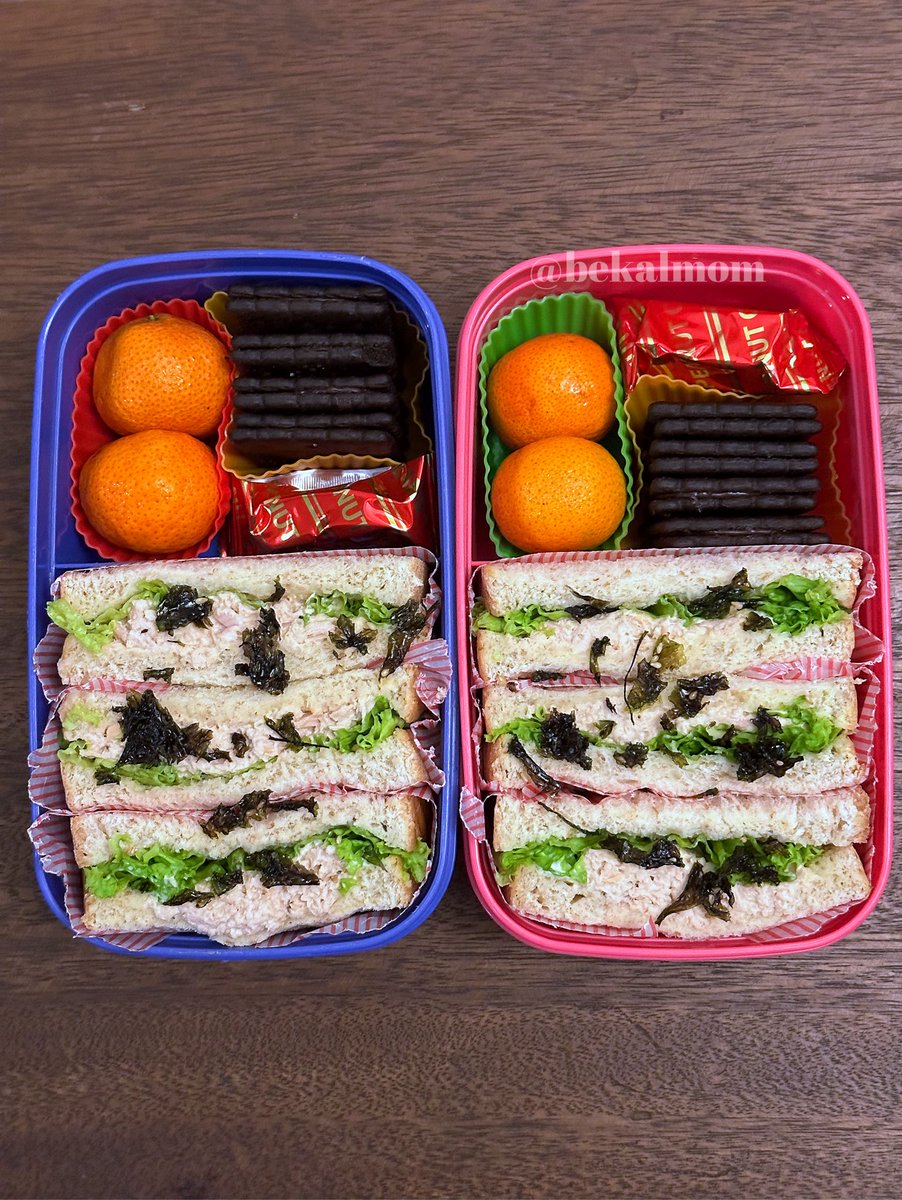 Day595. Bekal for today:
•Tuna sandwich 
•Peanut candy
•Oranges 
•Chocolate biscuits 
Watch this Reel! 🎥

instagram.com/reel/C215EARvg…