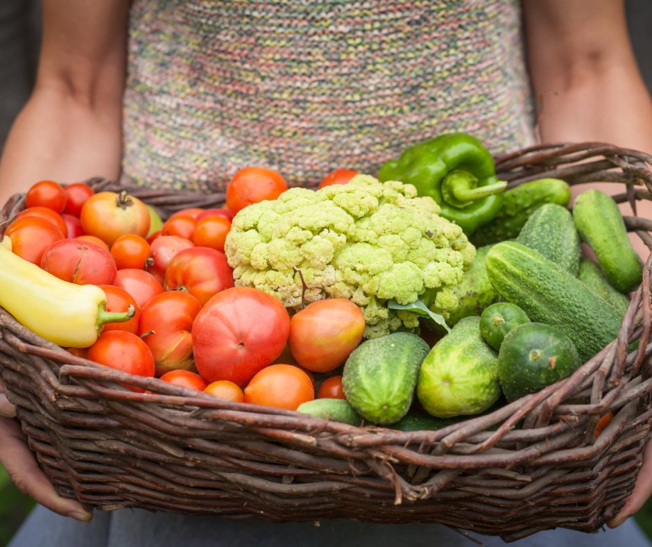 10. 🌍 Day 10: Sustainable Living.
Eat local, live global! The Mediterranean diet encourages sustainability by embracing seasonal, locally sourced ingredients. Choose sustainable food today!🌱#30DayChallenge #MediterraneanDiet #healthylifestyle #mdrproject