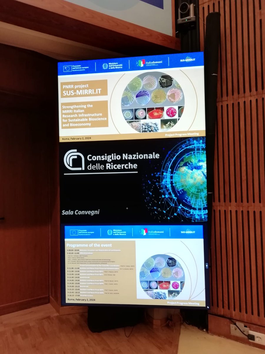 Sus Mirri tweet media