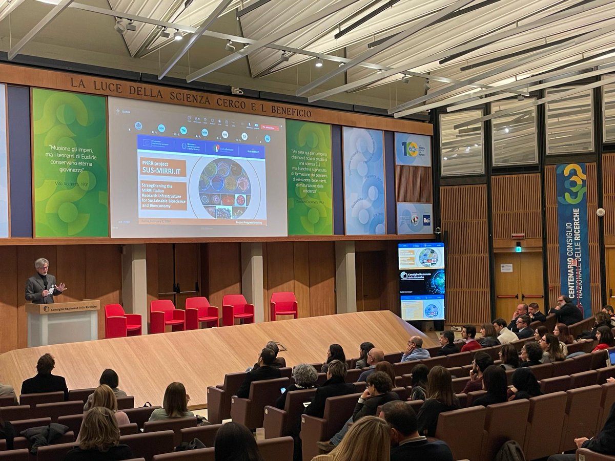 Sus Mirri tweet media