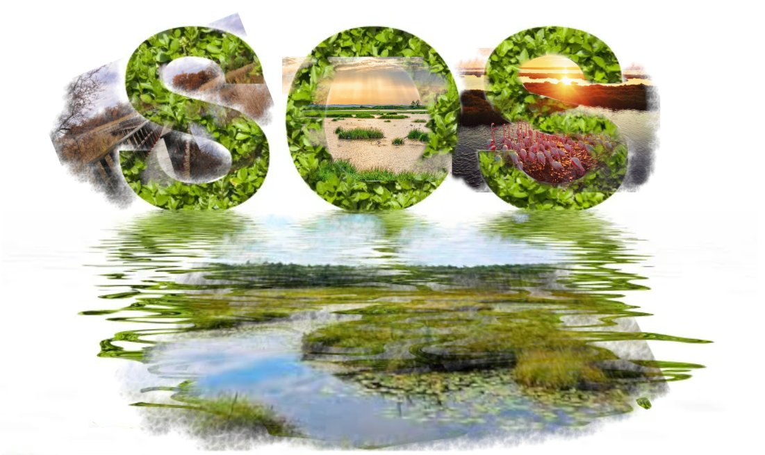 Desde el año 1700, la #humanidad ha destruido el 87% de los #humedales del planeta, por medio de nuestro crecimiento demográfico. 
Hoy #díamundialdeloshumedales disfrutemos, respetemos y cuidemos los Humedales

#comprometidos #medioambiente #actuamos #PorelClima