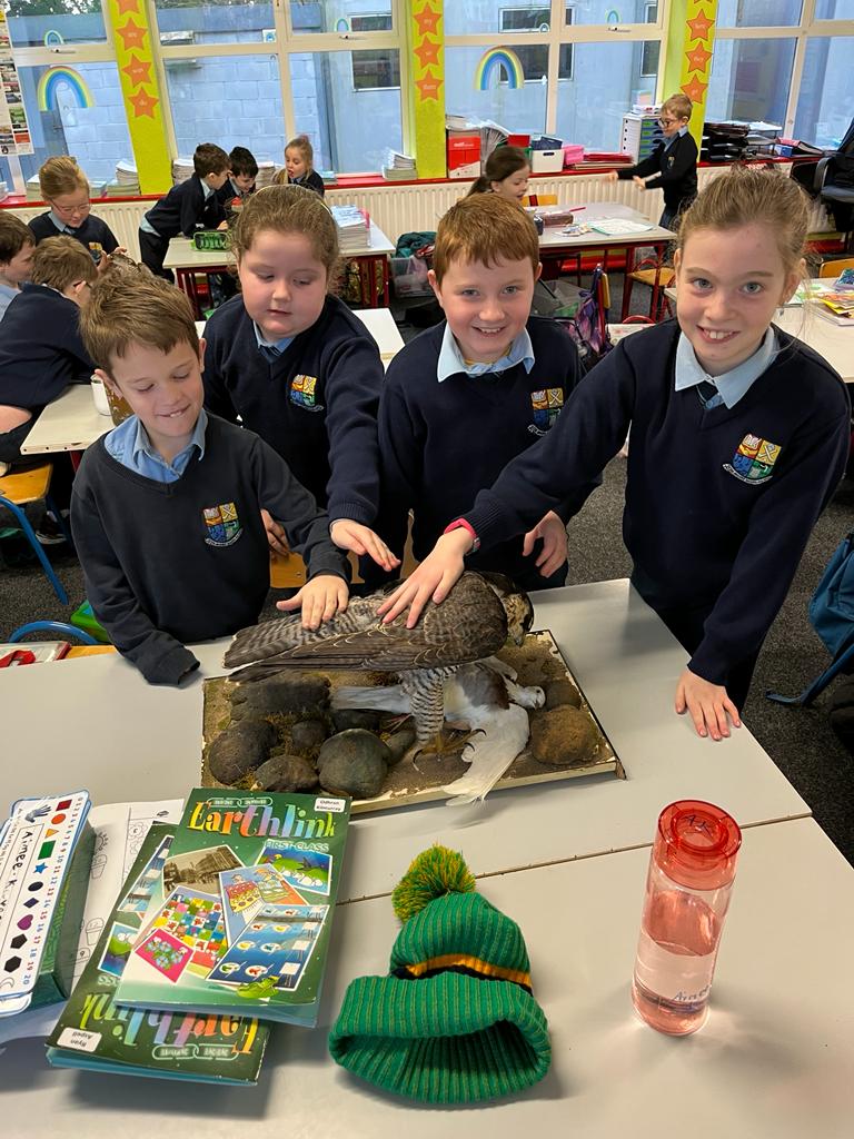 Scoil Mhuire Naofa, Rhode tweet media