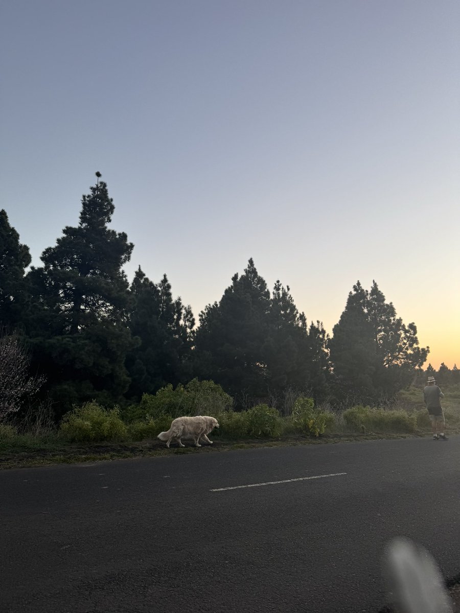 Feliz Viernes a todos❤️🫀