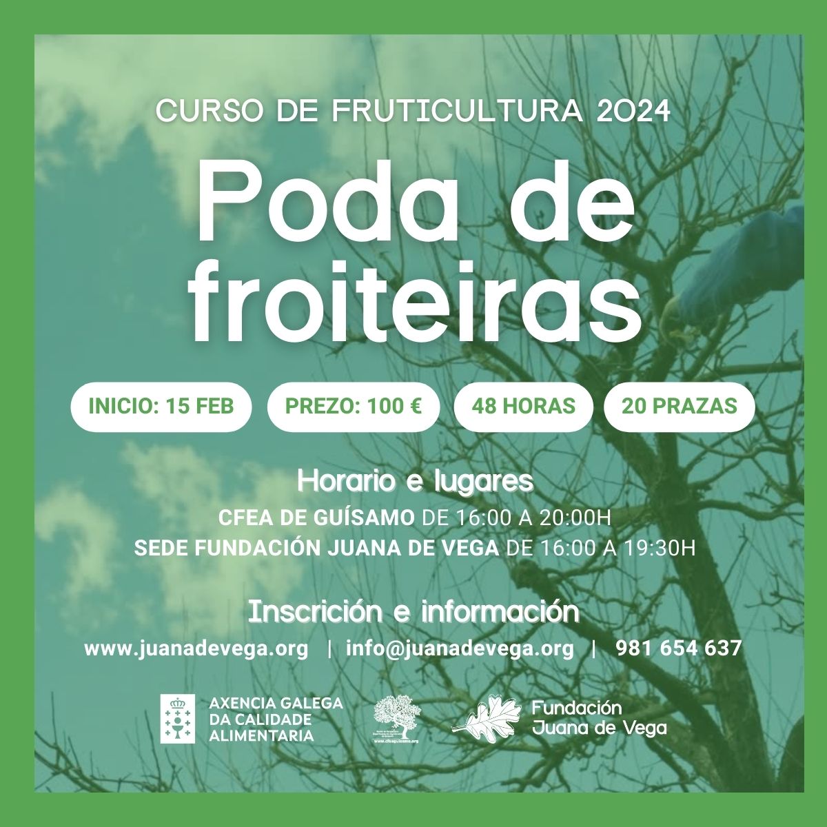 fjuanadevega's tweet photo. 📣 Viticultores e fruticultores ‼️ Abrimos edición 2024 dos cursos impartidos pola @fjuanadevega e o CFEA de Guísamo (AGACAL). Inicio 15/02!

Inscrición e pago⤵️
Viticultura e Enoloxía avanzado ⤵️https://t.co/5xd0PBfevB
Fruticultura | Poda de froiteiras ⤵️ https://t.co/j8bNQ0IbKO https://t.co/p1bWSlB68Y