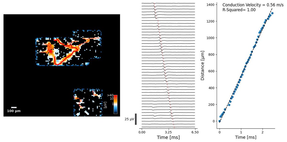 Electrophysiology Core Facility (E-Phac) at UZH tweet media