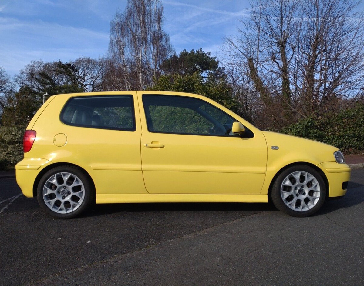 PoloDriver tweet media