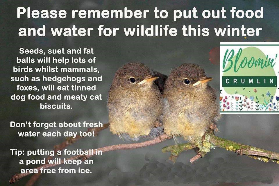 Crumlin Community Cleanup tweet media