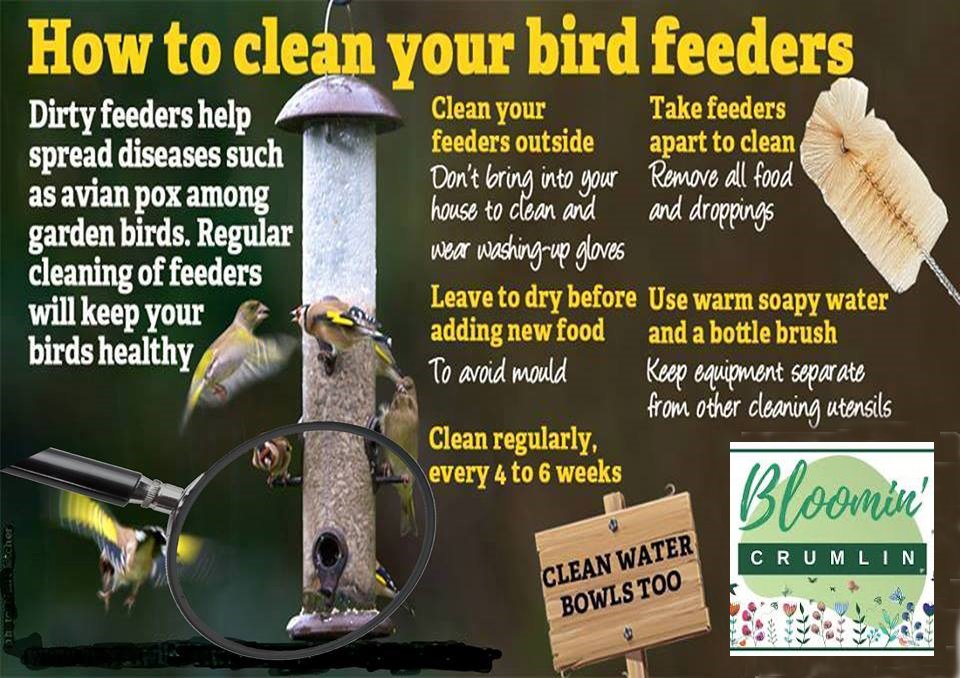 Crumlin Community Cleanup tweet media