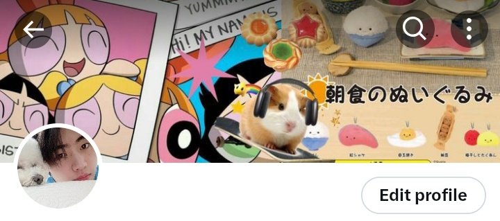 noel .ᐟ tweet media
