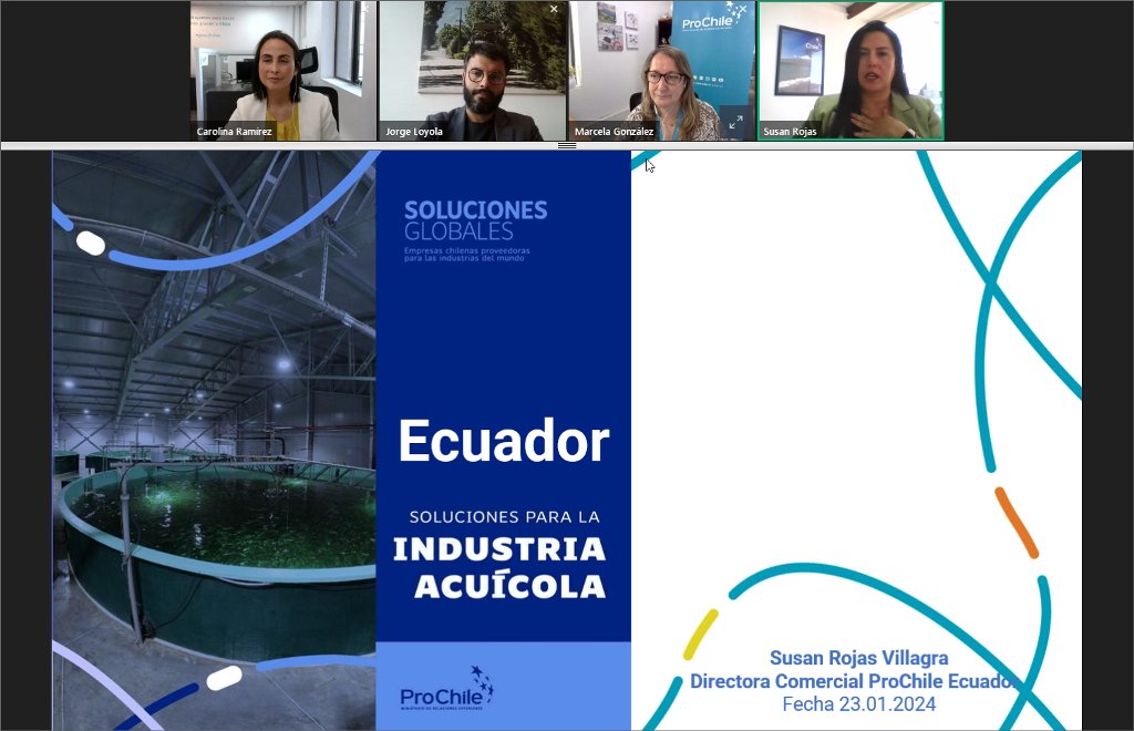 ProChile's tweet photo. 📝 Seguimos capacitando a pequeñas y medianas empresas salgan al mundo. 

🔗 Conoce los talleres del programa Soluciones Globales y el gran éxito en su primera edición https://t.co/nLzH2pEhn8 https://t.co/FnSnrsBbDE