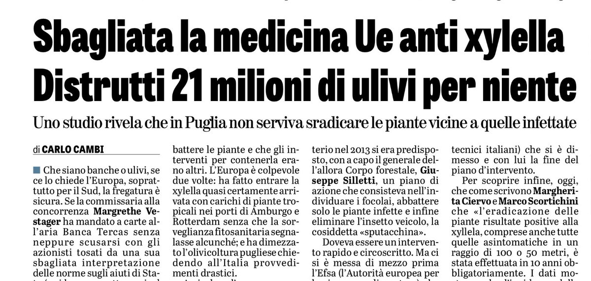 Politiche Ue: 10 anni dopo l’epidemia di xylella si scopre che l’abbattimento degli ulivi “asintomatici” non era necessario. Abbiamo però perso 21 milioni di ulivi, il 50% della produzione pugliese e il 30% di quella italiana e la Spagna è diventata leader del mercato.
Ne parla