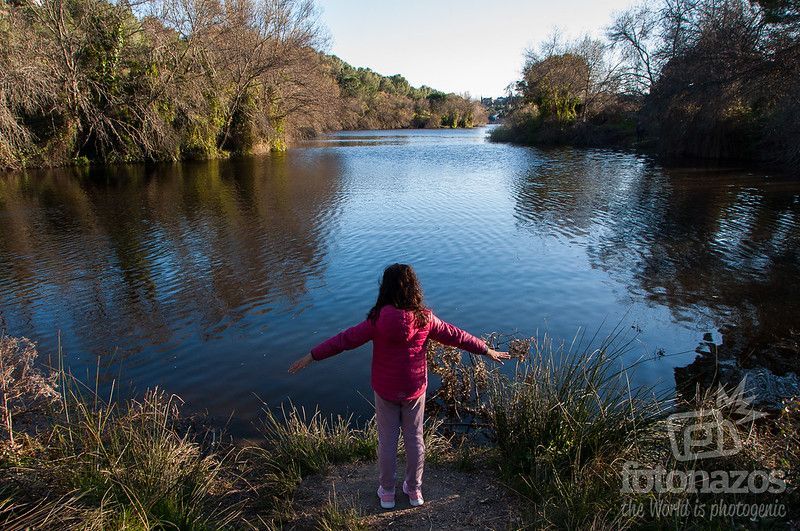 Fotonazos's tweet photo. Sumérgete en la paz de la Laguna de las Madres, un remanso de tranquilidad en el sureste de Madrid. 🦢 Disfruta de la naturaleza a solo 1 euro los fines de semana. #LagunaMadres #EscapeNatural https://t.co/pdbwLVtL1y https://t.co/orSFdaU3rP