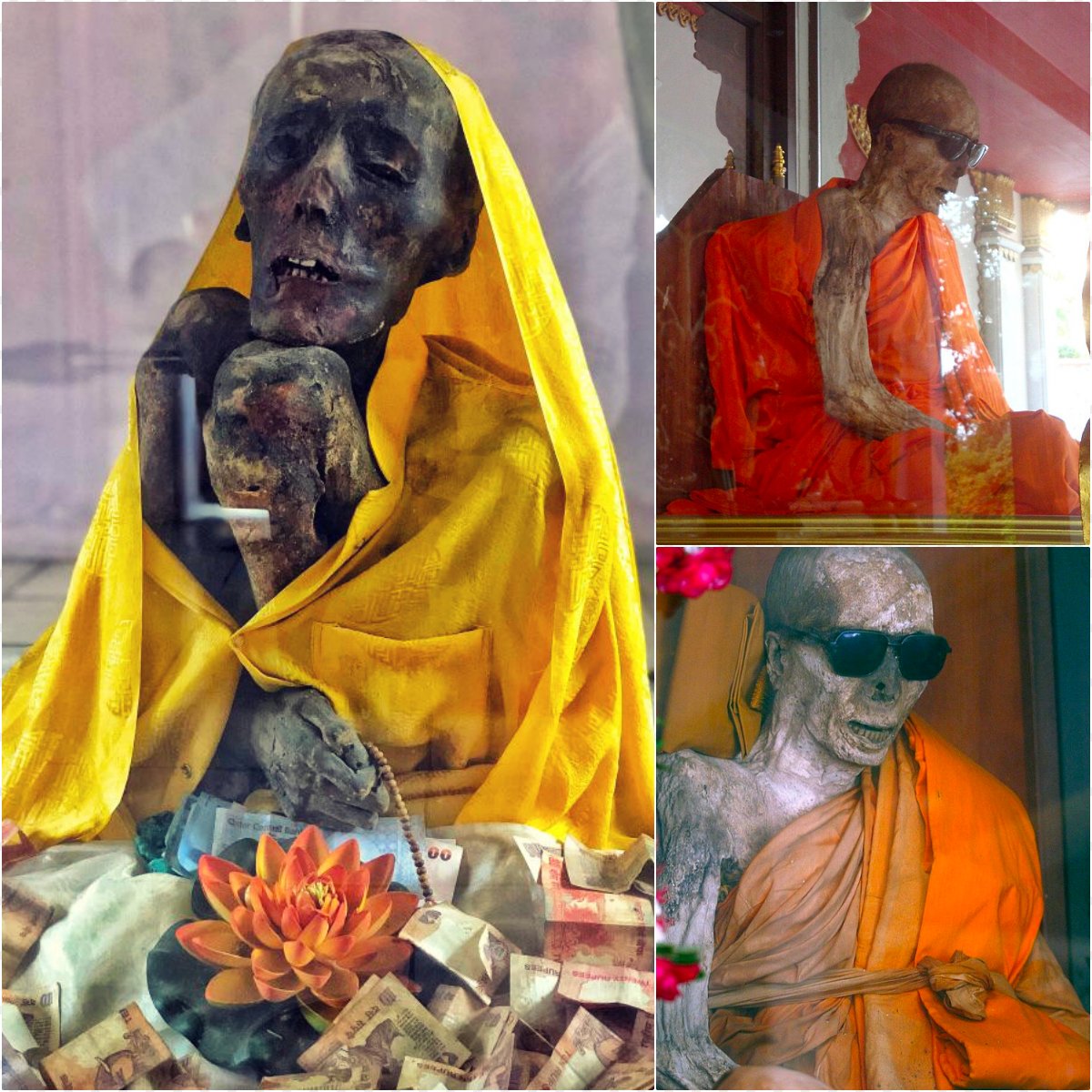 archaeoblognews's tweet photo. Mummy of Sangha Tenzin: He Started the Mummification Process While Still Living. 👤🔮
Details in comments below..
#Archaeology #AncientPractices #MummificationMystery https://t.co/MsDmecrMiu