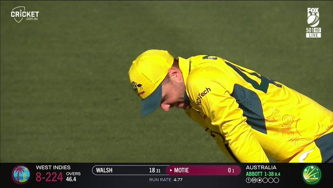 West Indies all out for 231 🚨 📹 Credits: Twitter/cricketcomau