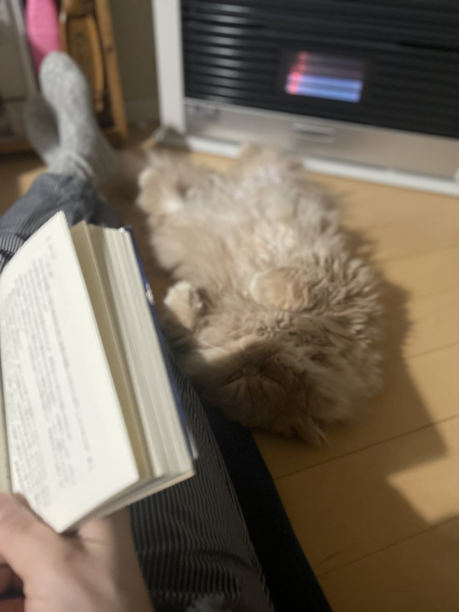 310muck's tweet photo. ストーブの前でムッチャンとゴロゴロ💤
#CatsOfTwitter
#猫好きさんと繋がりたい
#猫がいる暮らし
#猫がいる幸せ #猫 #catr https://t.co/zUJKpxGObP