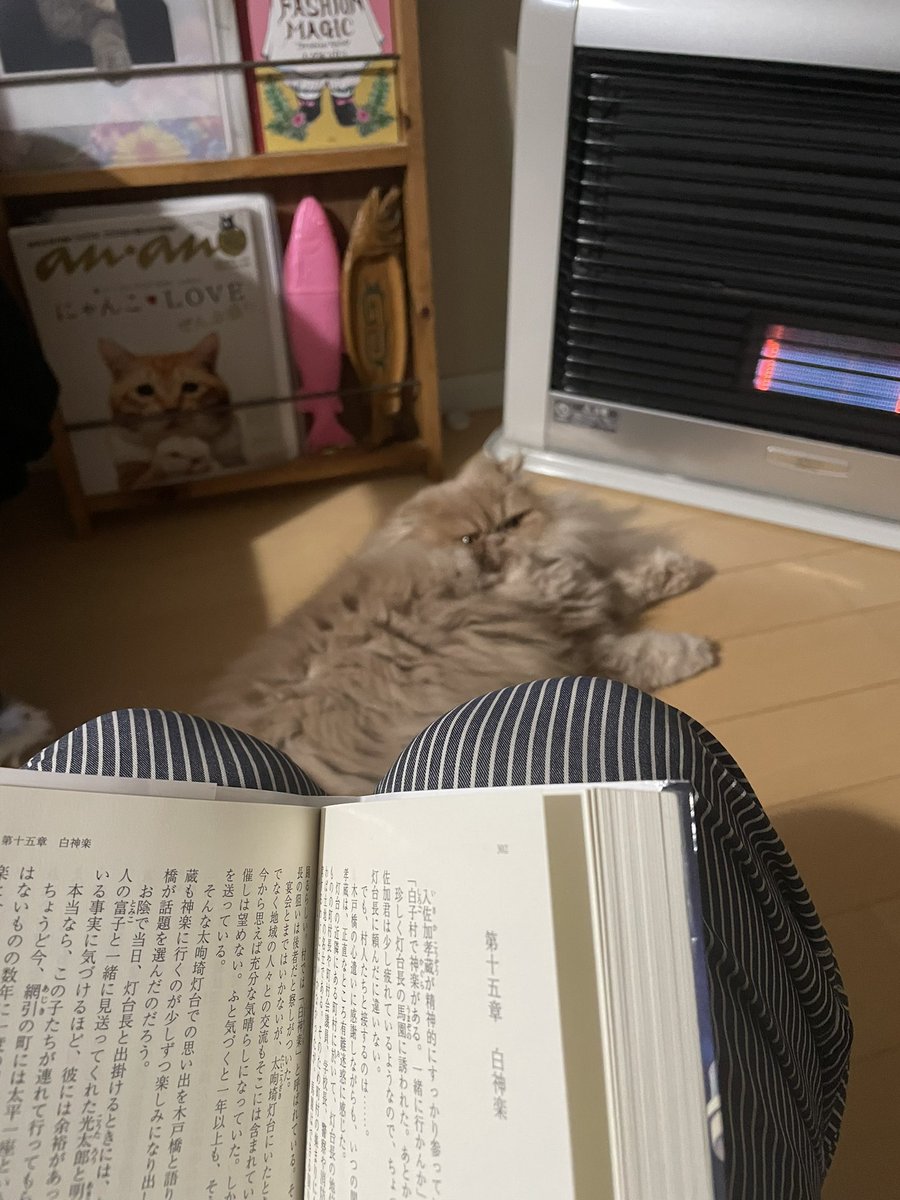 310muck's tweet photo. ストーブの前でムッチャンとゴロゴロ💤
#CatsOfTwitter
#猫好きさんと繋がりたい
#猫がいる暮らし
#猫がいる幸せ #猫 #catr https://t.co/zUJKpxGObP