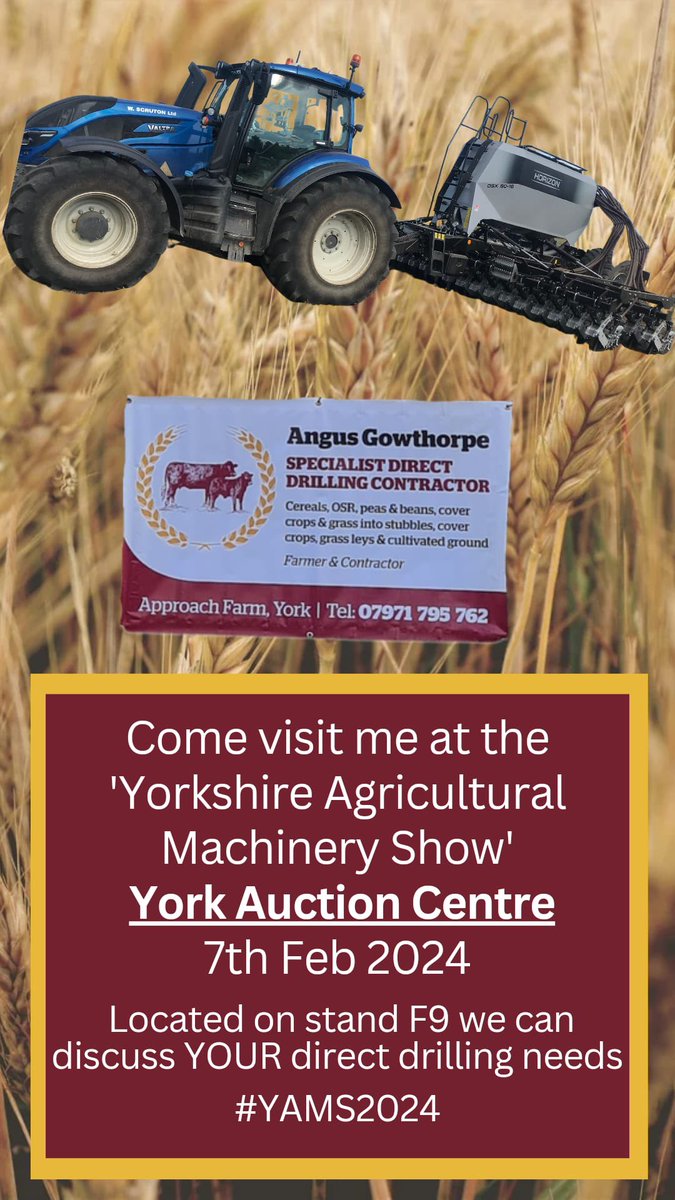 Angus Gowthorpe tweet media