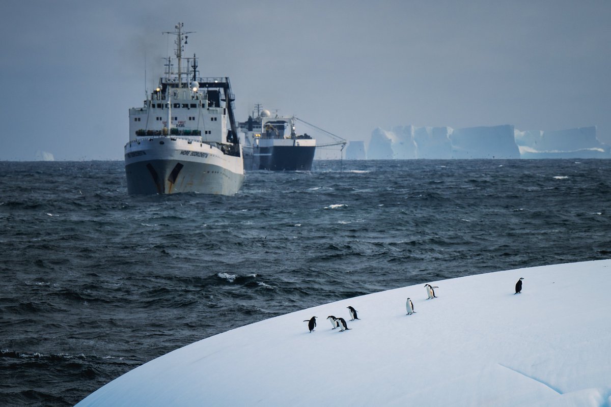 Marcel Haenen tweet media