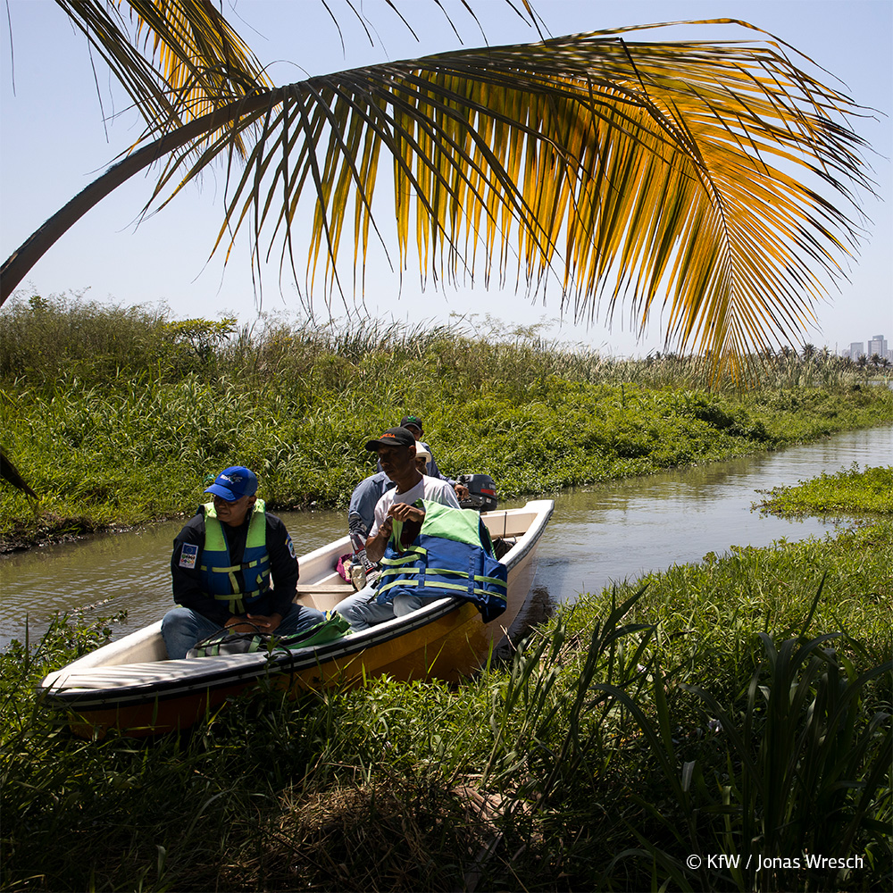 Today is @UNESCO #WorldWetlandsDay ❗ Valuable ecosystems + their #biodiversity are under serious threat and must be protected. E.g. through forest and nature conservation + sustainable #agriculture. 🌳 More on @KfW_FZ_int 's commitment to biodiversity 👉 fcld.ly/8pkbuyn