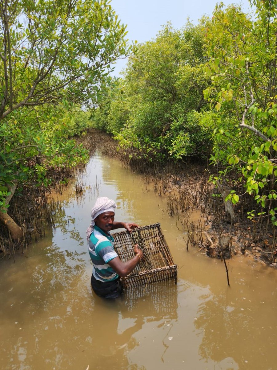 Andhra Pradesh Environment & Forest Department tweet media