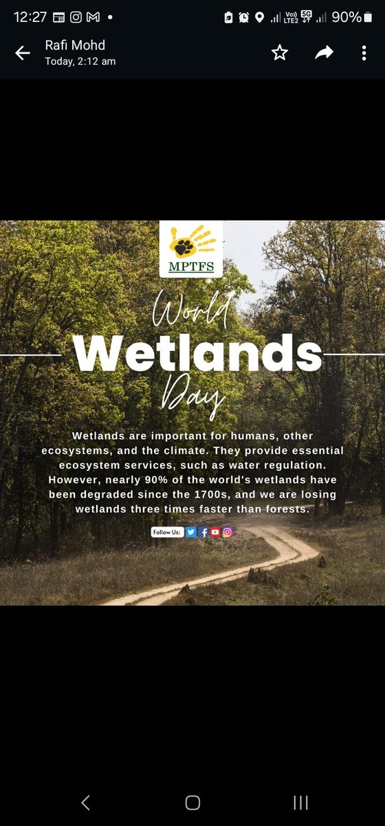 🌿 Celebrating World Wetlands Day with MP Tiger Foundation Society! 🐅 Wetlands are crucial for biodiversity and our environment. Let's raise awareness and work together to conserve these vital ecosystems. 🌏💙 #WorldWetlandsDay #MPTigerFoundation #ConservationHeroes