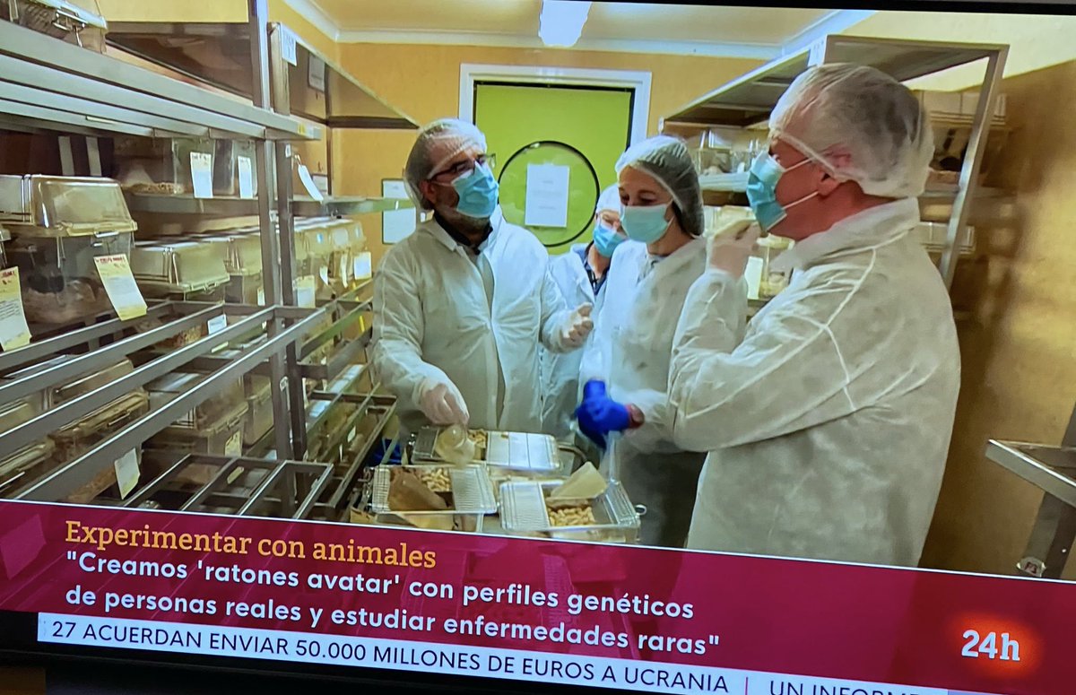Ya puedes ver en <a href="/rtveplay/">RTVE Play</a> el programa #ObjetivoPlaneta <a href="/rtvenoticias/">RTVE Noticias</a> que dirige <a href="/lorenzomila/">Lorenzo Milá Mencos</a> y que dedicó a la #experimentación animal visitando al <a href="/CNB_CSIC/">Centro Nacional de Biotecnología (CSIC)</a> en el que participamos:
<a href="/mmellado_lab/">Mario Mellado's Lab</a> <a href="/CuendaAna/">Ana Cuenda</a> <a href="/JGarciaArriaza/">Juan García Arriaza</a> Ángel Naranjo <a href="/SECAL_T/">SECAL</a> y yo. ⬇️
rtve.es/play/videos/ob…