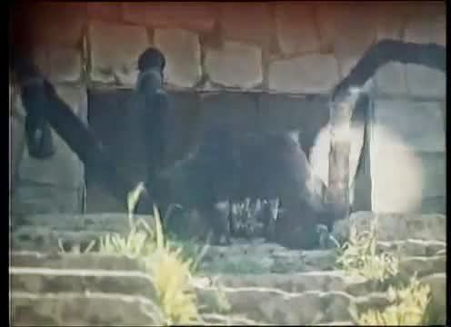 HarperLewis666's tweet photo. @horrorlosers Añado Ator, el poderoso (1982). Araña gigante y telaraña hecha de cuerdas 😑 https://t.co/0PRlnIU3u1